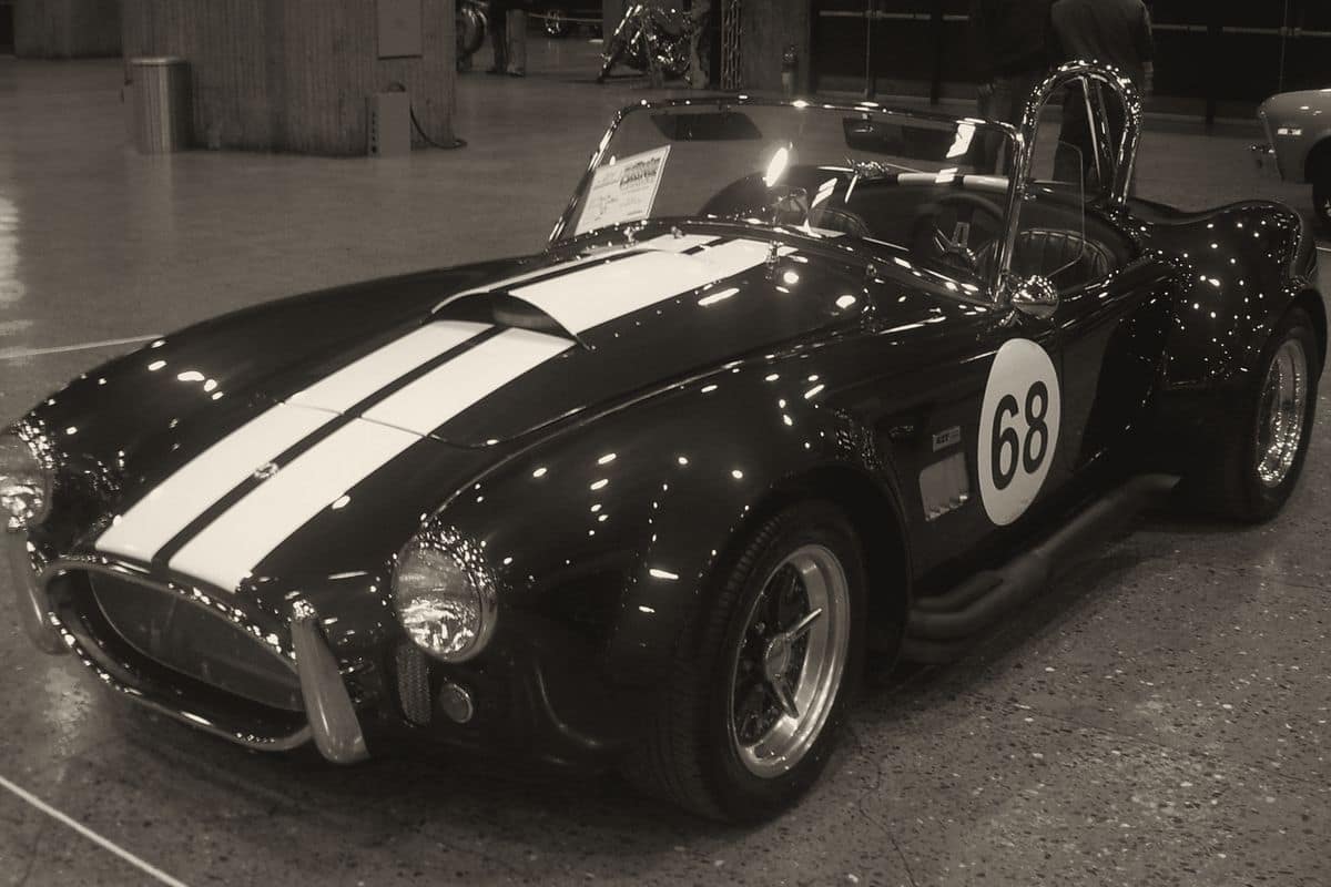 Shelby Cobra 289 / 427