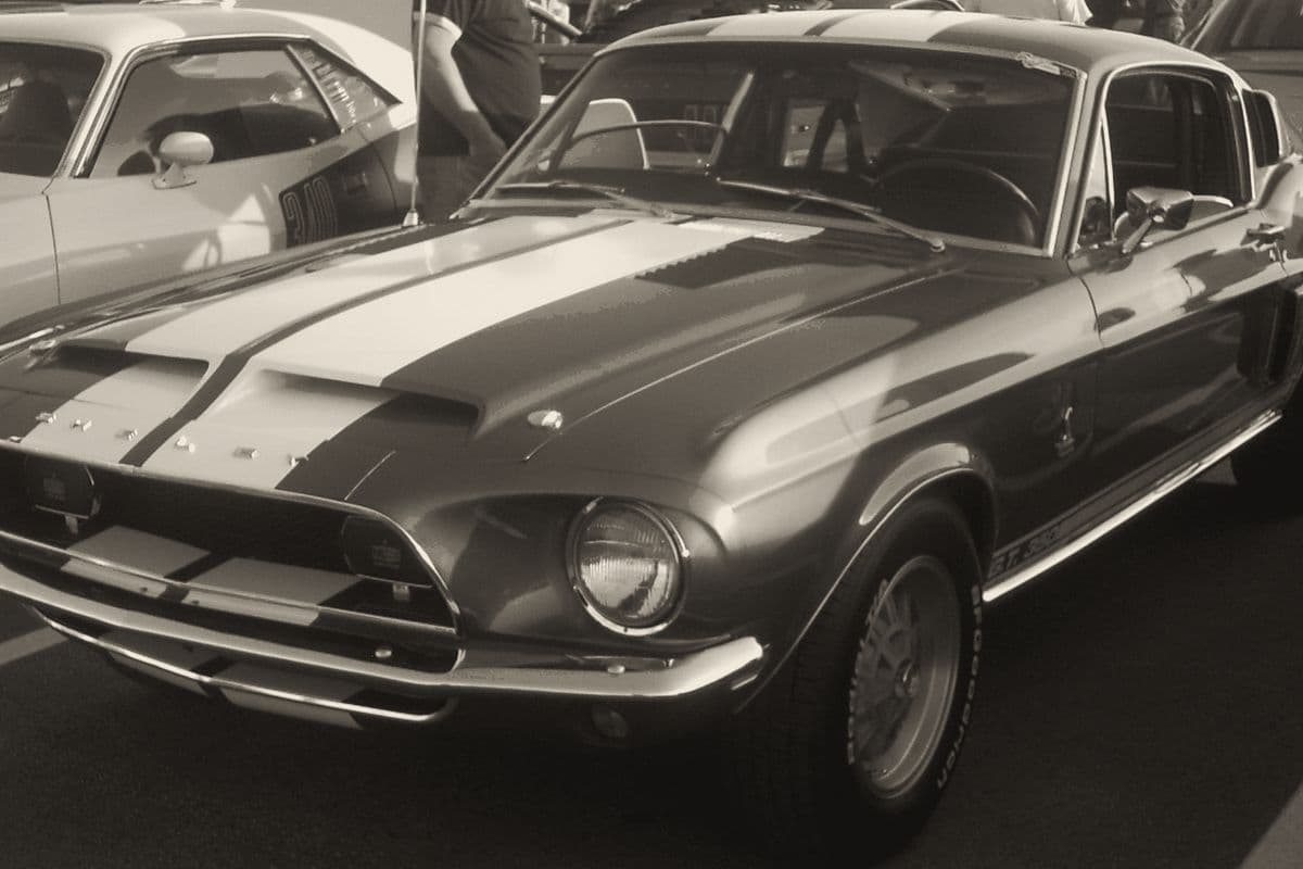Shelby GT350 / GT500 and Boss Mustang, 1965–70