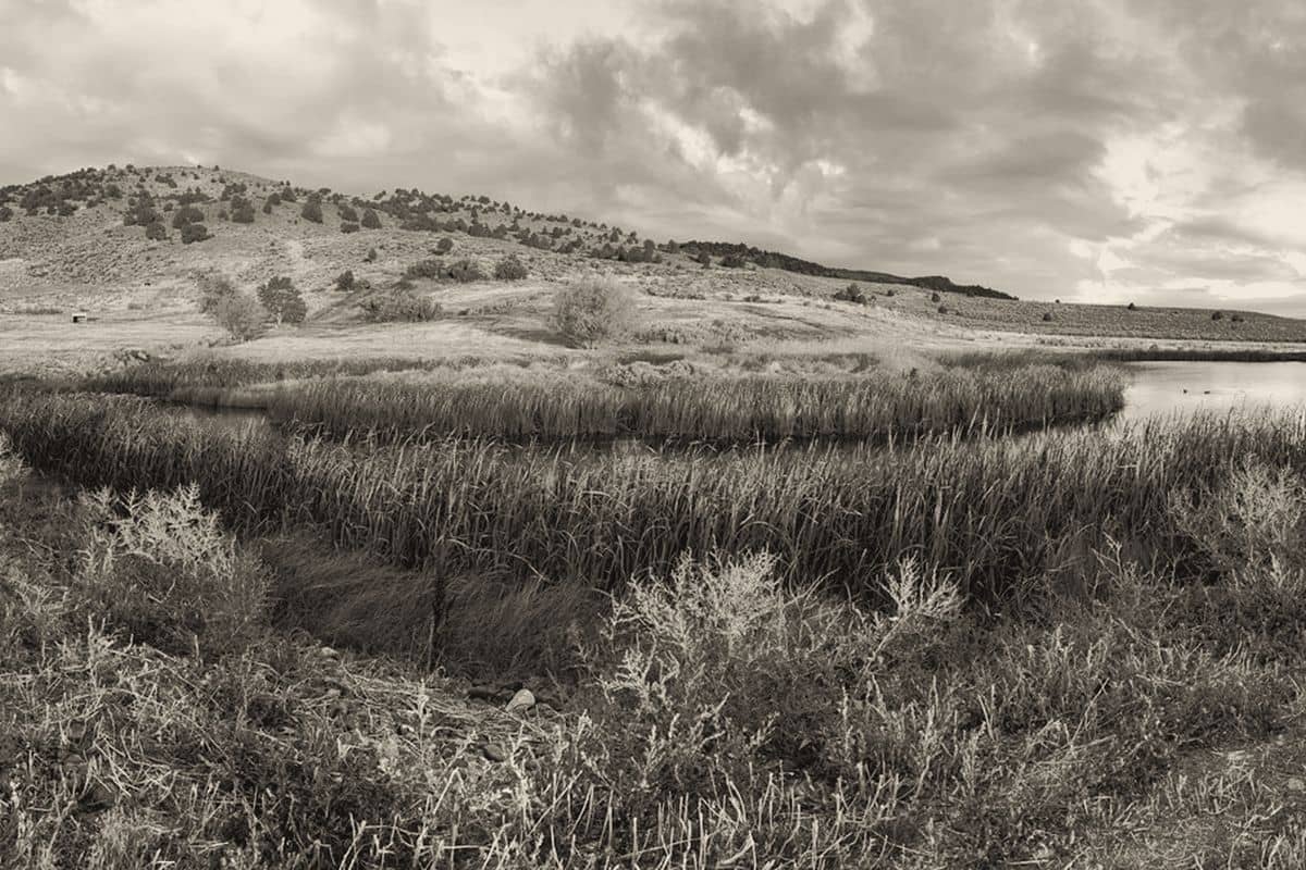 Land, ranches and acreage